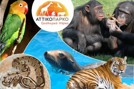 Αττικό Ζωολογικό Πάρκο: Δωρεάν εισιτήριο για όλα τα παιδιά έως 29 Φεβρουαρίου
