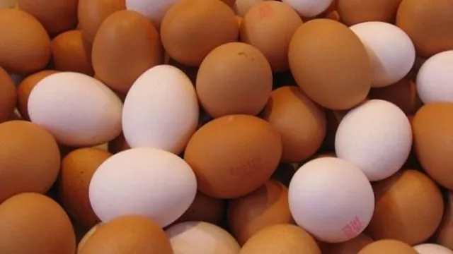 eggs-1 (1)