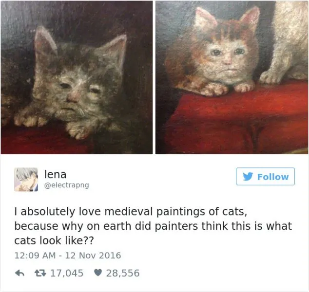 Tα 25 πιο αστεία tweets για γάτες που δημοσιεύτηκαν το 2016!
