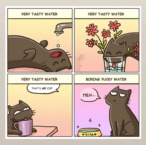 funny-cat-comics-50-5866155d5ca00__700