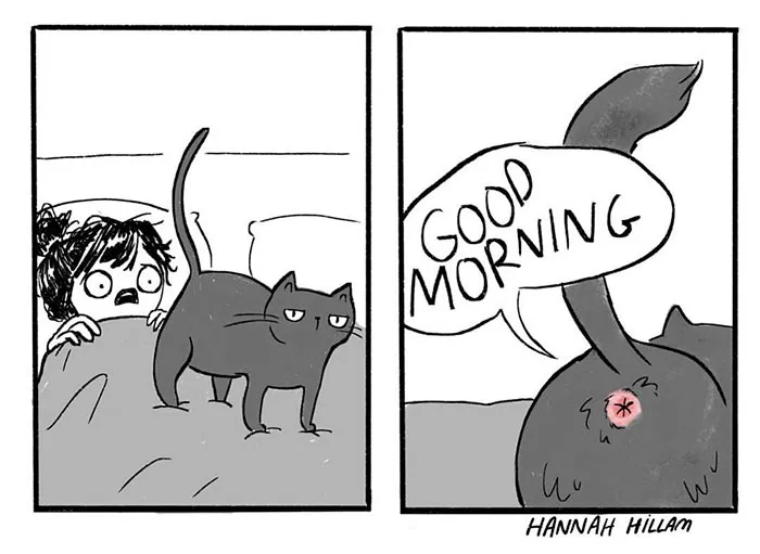 14 ξεκαρδιστικά κόμικ που περιγράφουν την καθημερινή ζωή με μια γάτα!