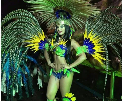 Το διονυσιακό καρναβάλι στο Ρίο μέσα από 20 photos & video