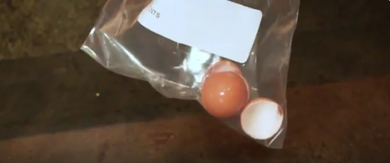 Πώς γίνεται τα τσόφλια των αυγών να είναι φαγώσιμα; (βίντεο)