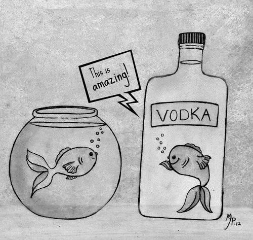 vodka-funny-tumblr2