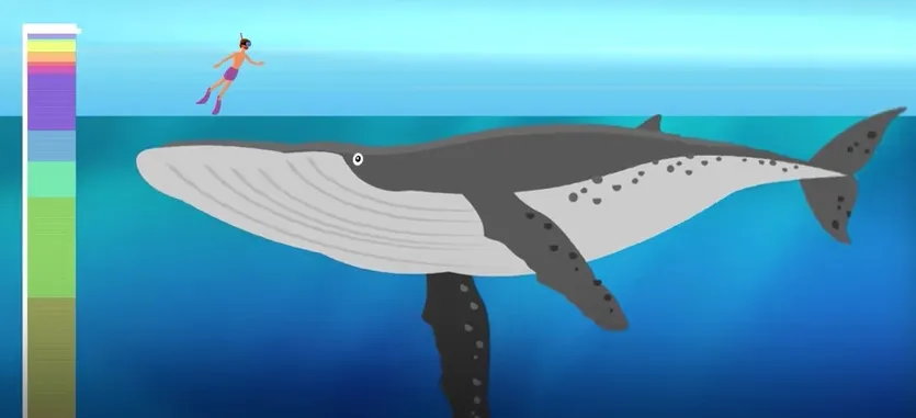 Αυτό το animation δείχνει πόσο βαθύς είναι στην πραγματικότητα ο ωκεανός!