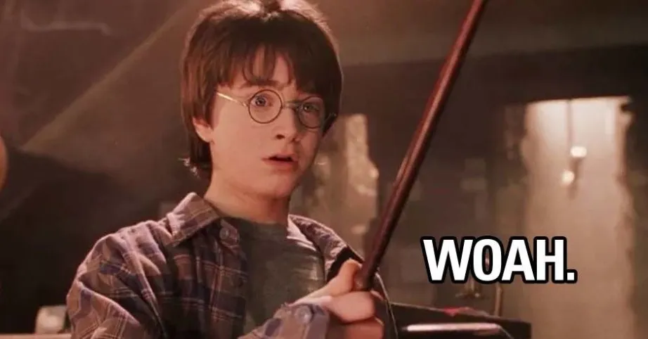 20 χρόνια Harry Potter: 