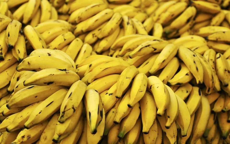 Λυπόμαστε αλλά πρέπει να αρχίσεις να τρως τις ίνες από τις μπανάνες - Δες γιατί!