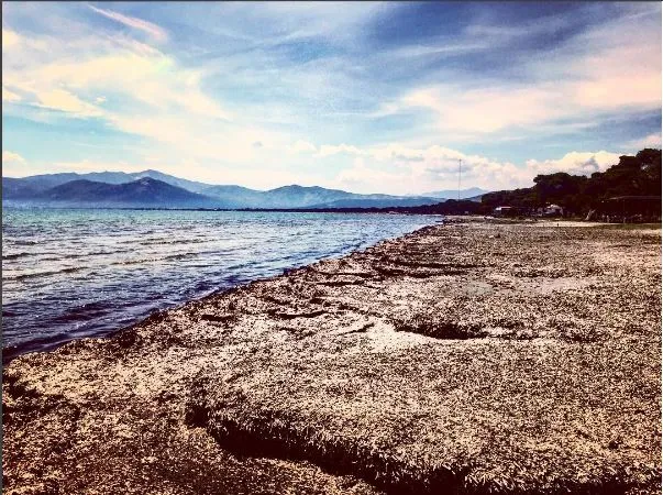 Παραλίες κοντά στην Αθήνα: Σχινιάς – Photos, Διαδρομή, Tips