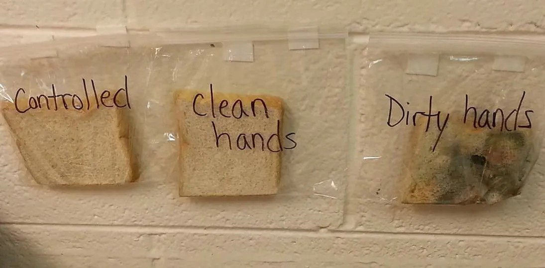 Πώς μια δασκάλα κατάφερε να πείσει τα παιδιά να μην τρώνε με βρώμικα χέρια!