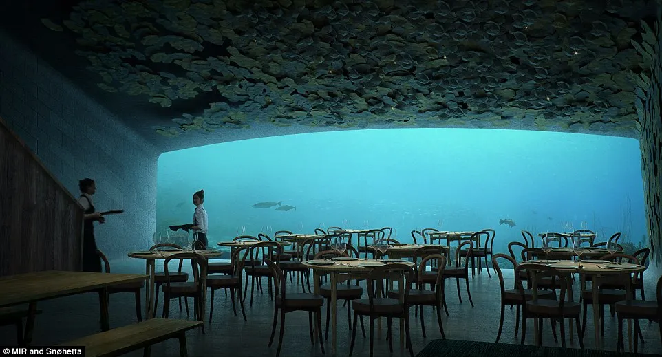 Το πρώτο υποβρύχιο εστιατόριο στην Ευρώπη ανοίγει στη Νορβηγία και η θέα που προσφέρει απλά δεν υπάρχει...