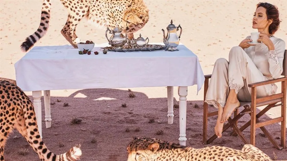 Τι μπορεί να κάνει άραγε η Αντζελίνα Τζολί στην έρημο με 3 cheetah?