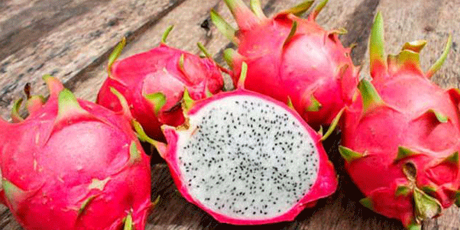 Dragon fruit: Εκτός από όμορφο φρούτο έχει και 5 σημαντικά οφέλη!