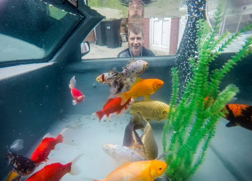 Αυτά τα ψάρια δε ζουν σε ενυδρείο αλλά σε ένα μέρος που δε θα μπορούσες να φανταστείς! (photos)