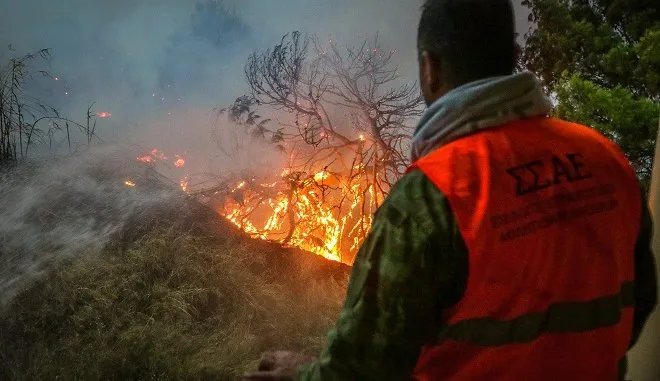 Φωτιά στην Τανάγρα: Δείτε αναλυτικά
