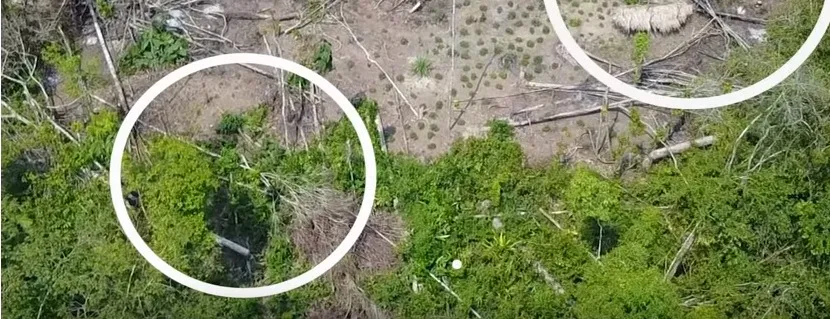 Με τη βοήθεια ενός drone εντοπίστηκε άγνωστη φυλή στον Αμαζόνιο!