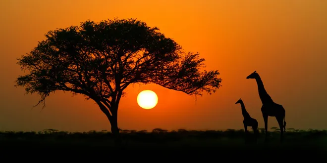 5 χώρες της Αφρικής που κάθε τουρίστας πρέπει να επισκεφτεί!