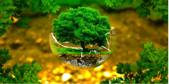 Παγκόσμια Ημέρα Περιβάλλοντος 2019: Στις 5 Ιουνίου τιμάμε το περιβάλλον!