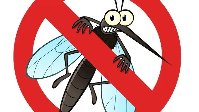 Ορίστε γιατί τα κουνούπια σε τσιμπάνε περισσότερο από άλλους ανθρώπους!