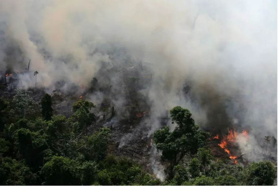 Διαδηλώσεις σε πρεσβείες της Βραζιλίας σε όλο τον κόσμο για τις πυρκαγιές στον Αμαζόνιο