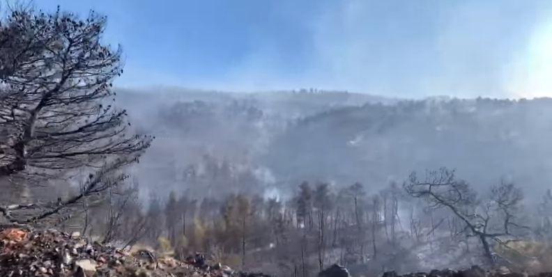 Υψηλός κίνδυνος πυρκαγιάς σήμερα σε τρεις περιφέρειες της χώρας