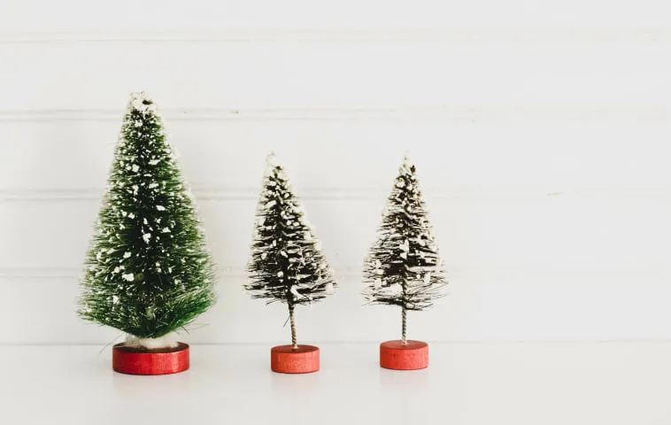 Ποια είναι η ιστορία του χριστουγεννιάτικου δέντρου;