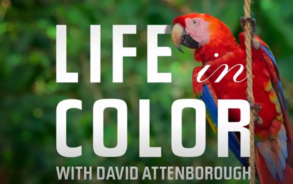 Life in Color: Το Netflix φέρνει ακόμη ένα ντοκιμαντέρ για την φύση με το David Attenborough