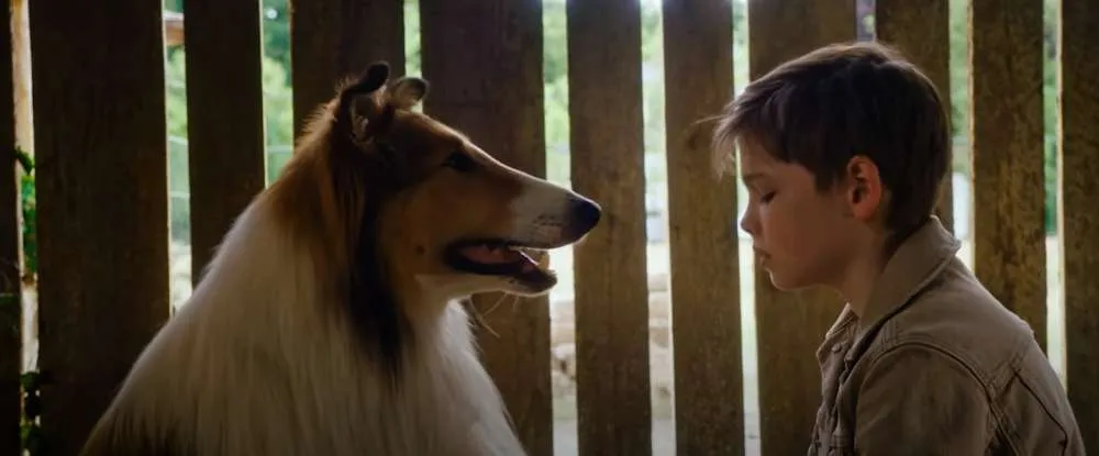 Λάσι, γύρνα σπίτι: Το πιο διάσημο κινηματογραφικό σκυλί επιστρέφει στη μεγάλη οθόνη σε νέες περιπέτειες