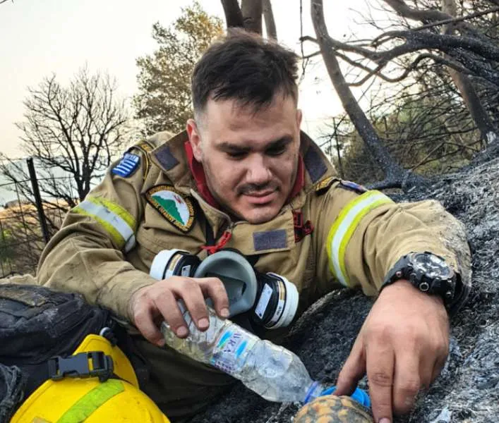Φωτιά στην Αχαΐα: Viral η φωτογραφία με τον πυροσβέστη που δίνει νερό σε χελώνα