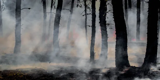 Φωτιές: Υψηλός κίνδυνος πυρκαγιάς σε αυτές τις 6 Περιφέρειες