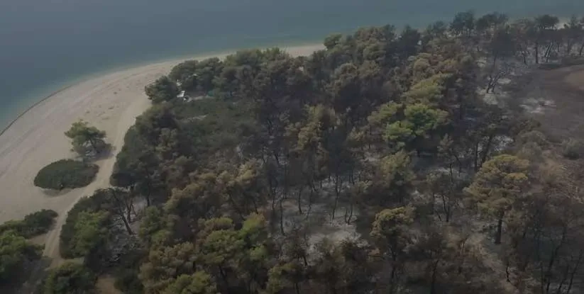 Φωτιά στην Εύβοια: Ένα σοκαριστικό video δείχνει το μέγεθος της καταστροφής από ψηλά