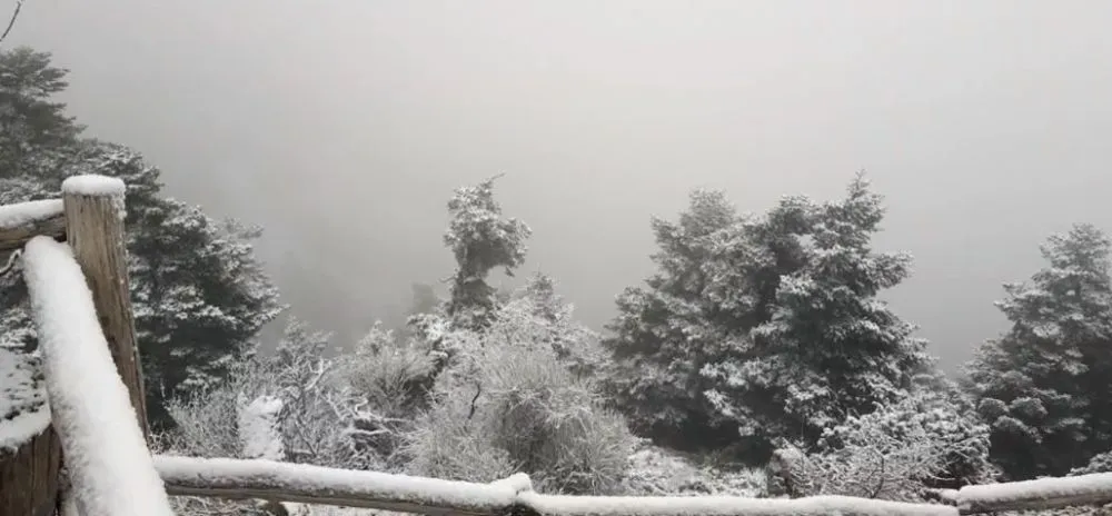 Καιρός: Χιόνια στην Πάρνηθα - Πανέμορφες εικόνες