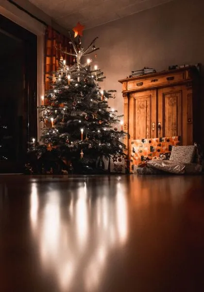 Χριστουγεννιάτικο δέντρο: Πλαστικό, φυσικό, ενοικιαζόμενο ή αγορασμένο;