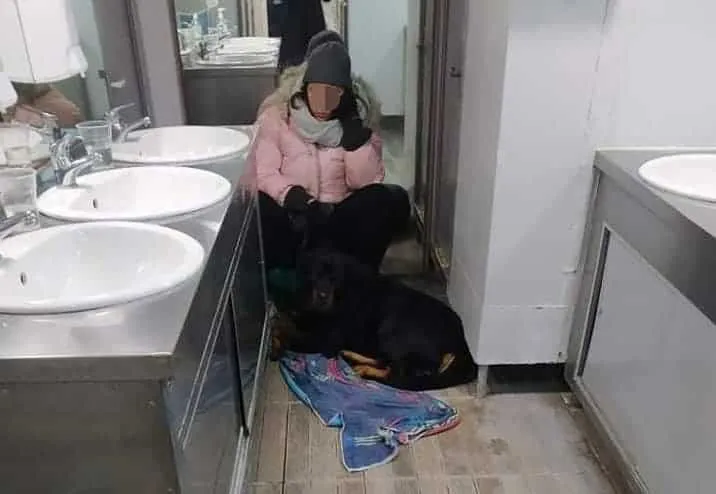 Σκόπελος: Ταξίδεψε 5 ώρες κλεισμένη στην τουαλέτα πλοίου, επειδή είχε σκύλο!