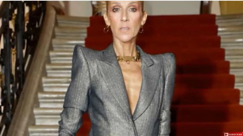 Celine Dion: Αναβάλλει όλες τις συναυλίες της περιοδείας της για το 2023 -Τι συμβαίνει με την υγεία της