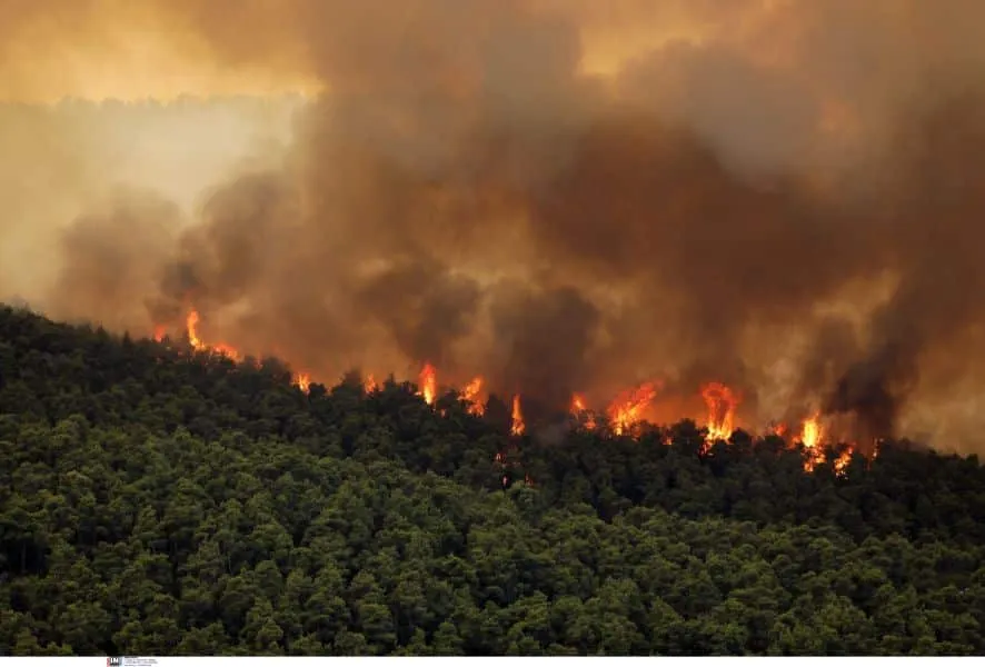 Αττική: Πόσο επηρέασαν την ατμόσφαιρά της οι πυρκαγιές