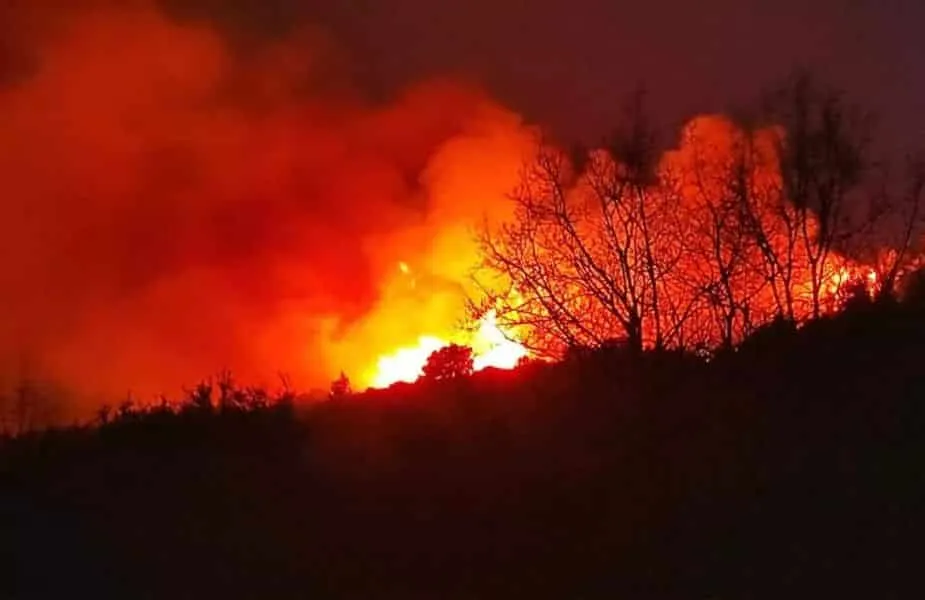 Πυρκαγιά στην Ηλεία: Ανεξέλεγκτη η φωτιά που καίει δασική έκταση στην περιοχή Λιβαδάκι