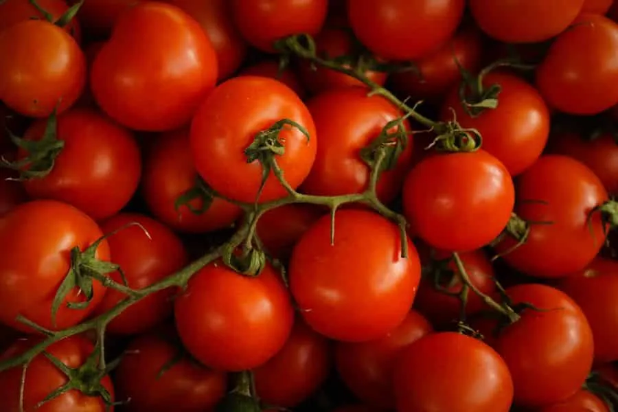 Δημιουργήθηκαν οι πρώτες γενετικά τροποποιημένες ντομάτες - Παράγουν περισσότερη βιταμίνη D3