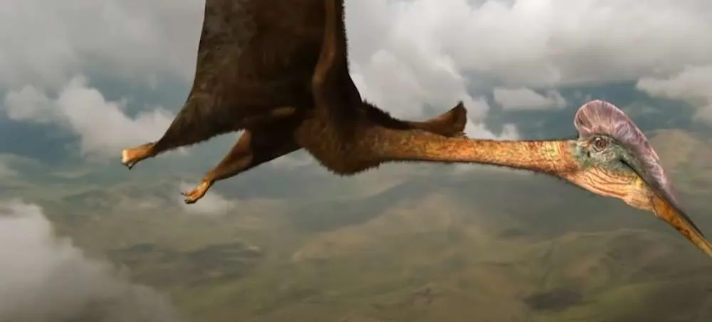 Ερευνητές ανακάλυψαν έναν τεράστιο πτερόσαυρο που έζησε πριν από 86 εκ. χρόνια