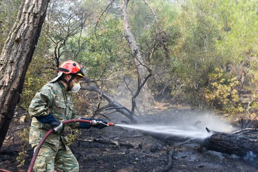 Φωτιά στη Δαδιά: Πέρασε το πυροφυλάκιο της Λευκίμμης - Σε κατάσταση εκτάκτου ανάγκης η περιοχή