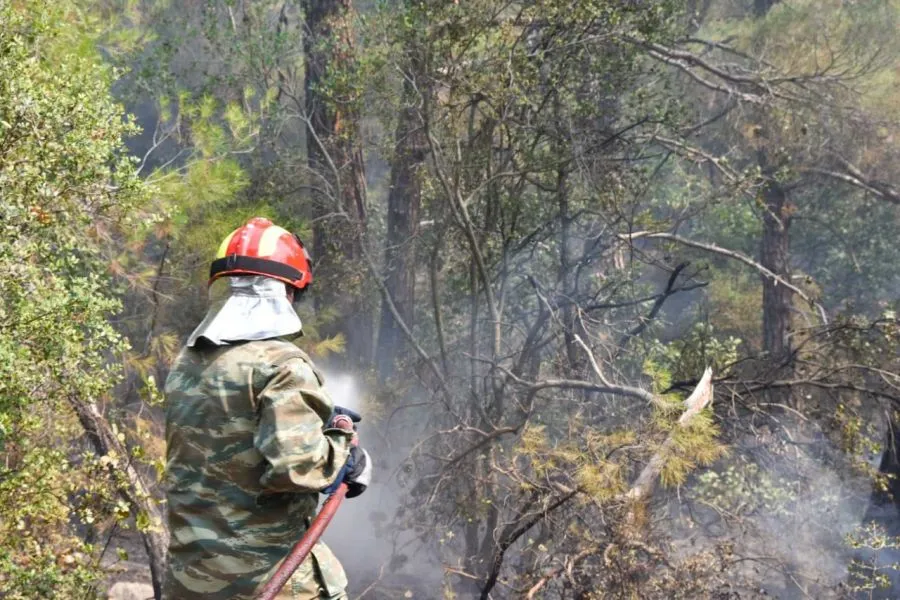 Μάχη σε πολλά πύρινα μέτωπα: Τιτάνιες προσπάθειες στο δάσος της Δαδιάς, κάηκαν σπίτια στη Λέσβο - Φωτιά και στη Μεσσηνία