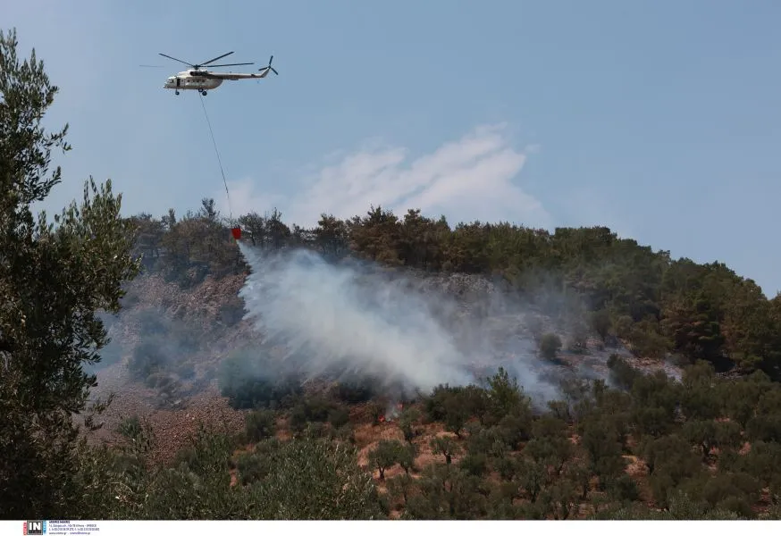 Φωτιά τώρα στη Λακωνία - Άμεση κινητοποίηση της Πυροσβεστικής