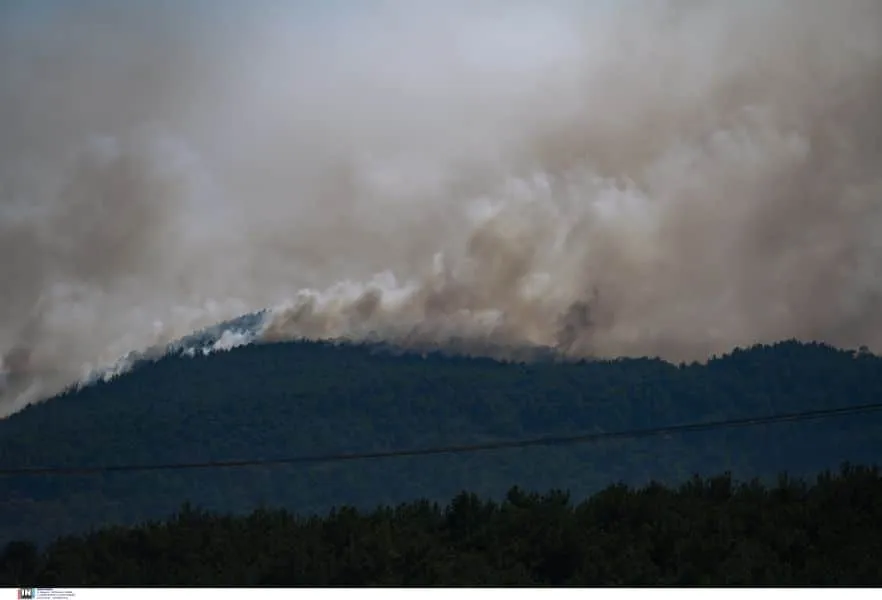 Φωτιά σε Κόνιτσα και Ηλεία: Η κατάσταση στα πύρινα μέτωπα