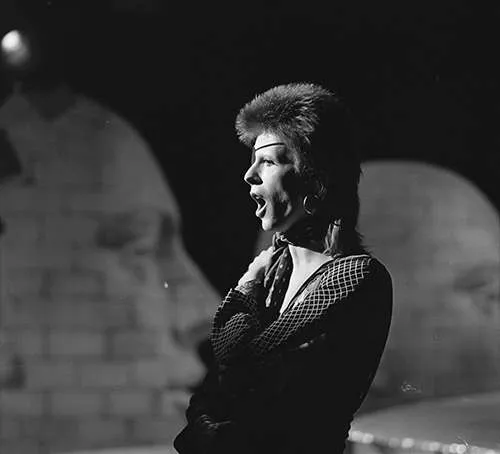 David Bowie: Φωτογραφία του πωλήθηκε σε δημοπρασία