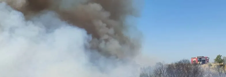 Πυρκαγιά στην Ηλεία: Φλόγες κοντά σε χωριό - Ενισχυμένες δυνάμεις της πυροσβεστικής