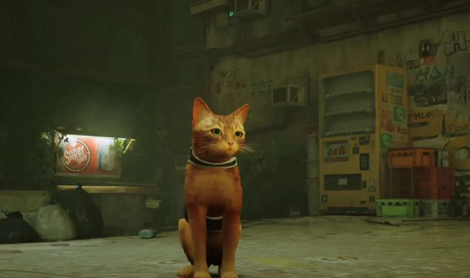 «Stray»: Το νέο viral βιντεοπαιχνίδι που σου επιτρέπει να παίξεις ως αδέσποτη γάτα