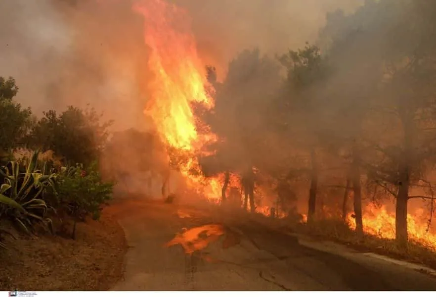 Πυροσβεστική: Συνολικά 678 πυρκαγιές εκδηλώθηκαν την τελευταία εβδομάδα