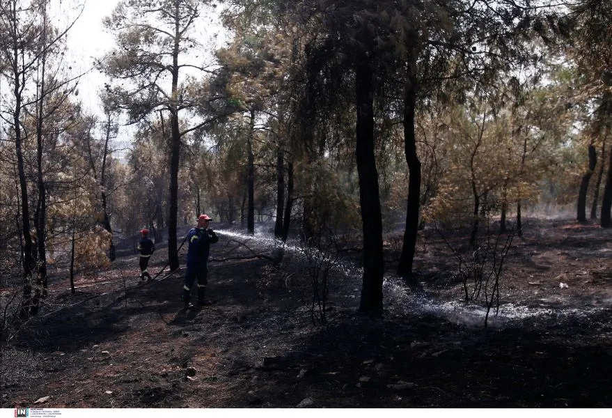 Φωτιές σε Αχαΐα και Μεσσηνία - Πυροσβεστικές δυνάμεις σπεύδουν στα δύο μέτωπα