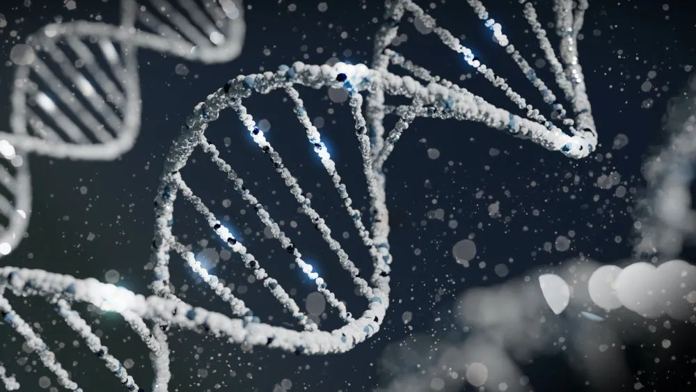 Το αρχαίο DNA ρίχνει περισσότερο φως στην ιστορία - Τι δείχνουν τρεις νέες μελέτες