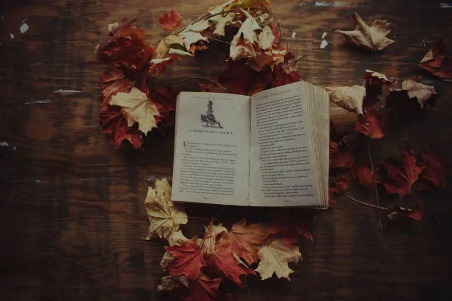 Οκτώ μελαγχολικά ποιήματα για να υποδεχτούμε το Φθινόπωρο