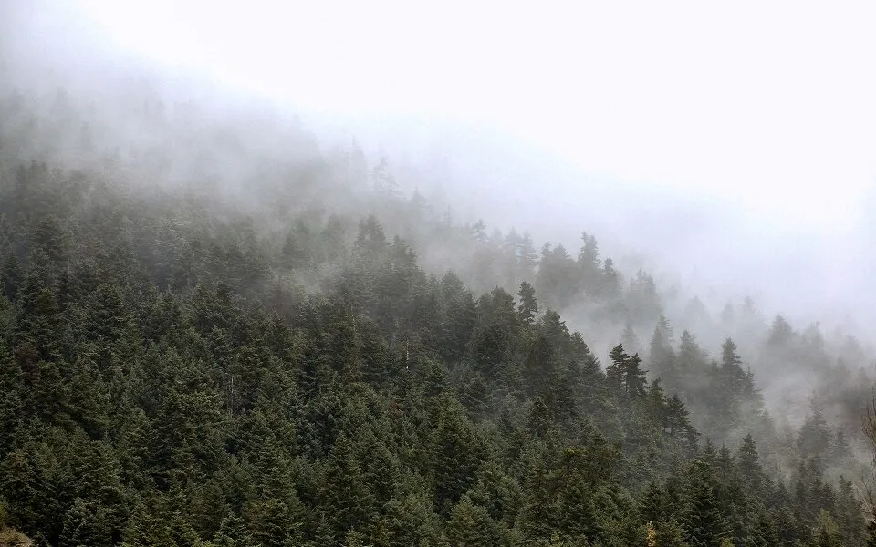 Τι είναι η ομίχλη ακτινοβολίας που σημειώθηκε σε Φλώρινα και Νευροκόπι